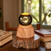 Earth Luminous crystal ball night light, 3d engraved starry sky, solid wood base, creative desktop decoration, birthday gift Application Scenario